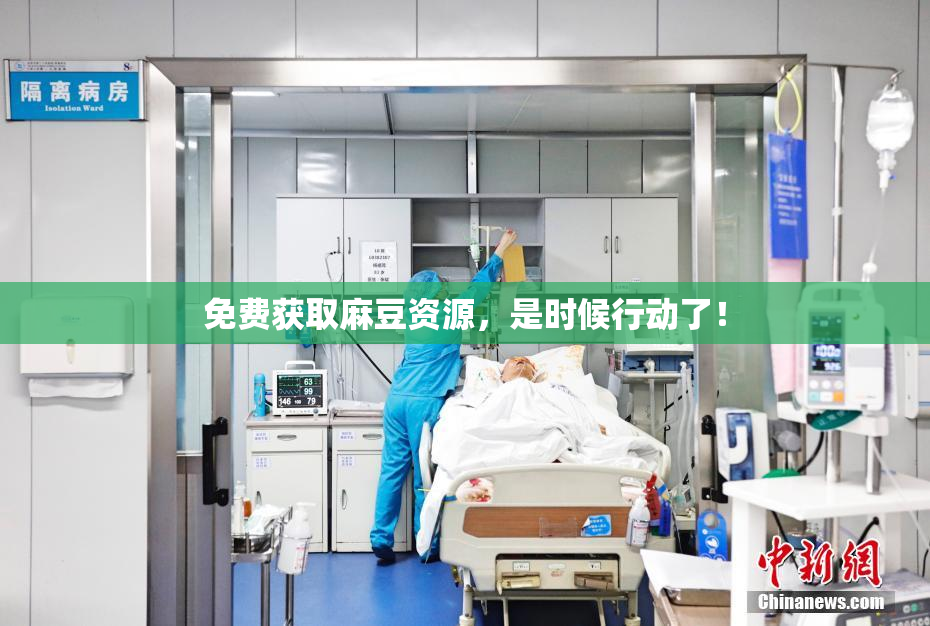 免费获取麻豆资源，是时候行动了！