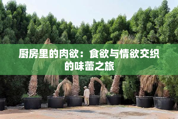 厨房里的肉欲：食欲与情欲交织的味蕾之旅