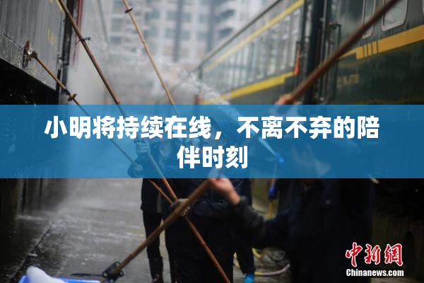 小明将持续在线，不离不弃的陪伴时刻