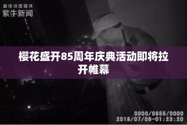 樱花盛开85周年庆典活动即将拉开帷幕