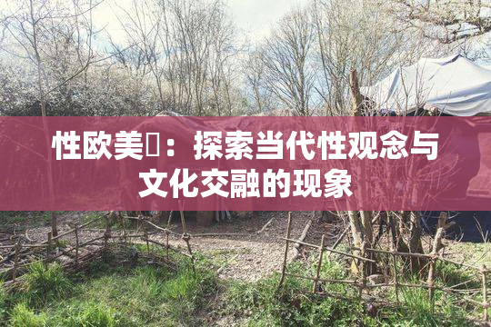 性欧美婬：探索当代性观念与文化交融的现象