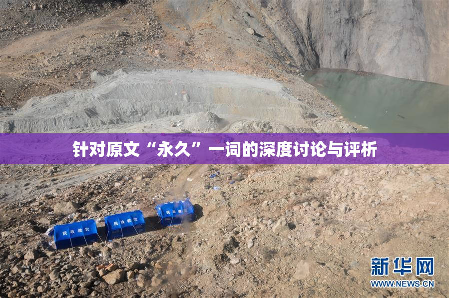 针对原文“永久”一词的深度讨论与评析