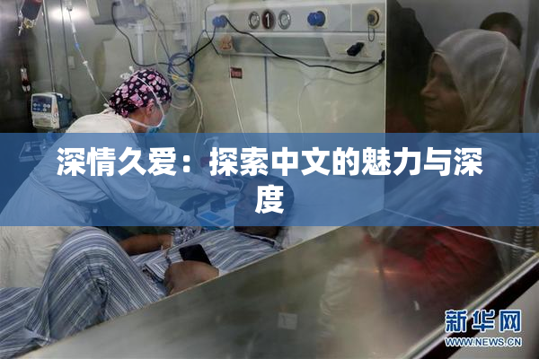 深情久爱：探索中文的魅力与深度