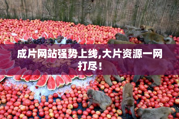 成片网站强势上线,大片资源一网打尽！