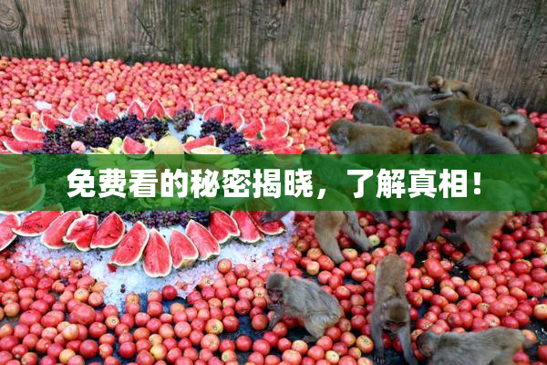 免费看的秘密揭晓，了解真相！