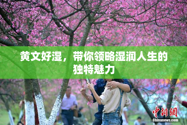 黄文好湿，带你领略湿润人生的独特魅力
