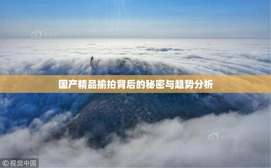 国产精品揄拍背后的秘密与趋势分析