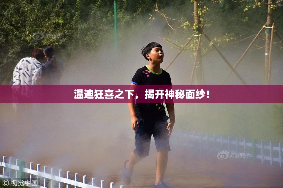 温迪狂喜之下，揭开神秘面纱！
