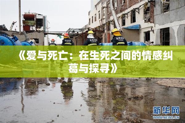 《爱与死亡：在生死之间的情感纠葛与探寻》
