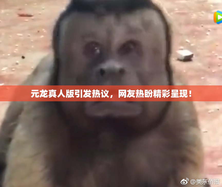 元龙真人版引发热议，网友热盼精彩呈现！