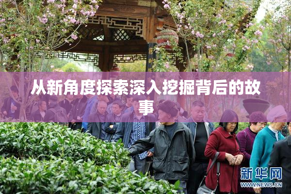 从新角度探索深入挖掘背后的故事