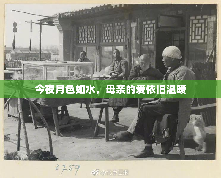 今夜月色如水，母亲的爱依旧温暖