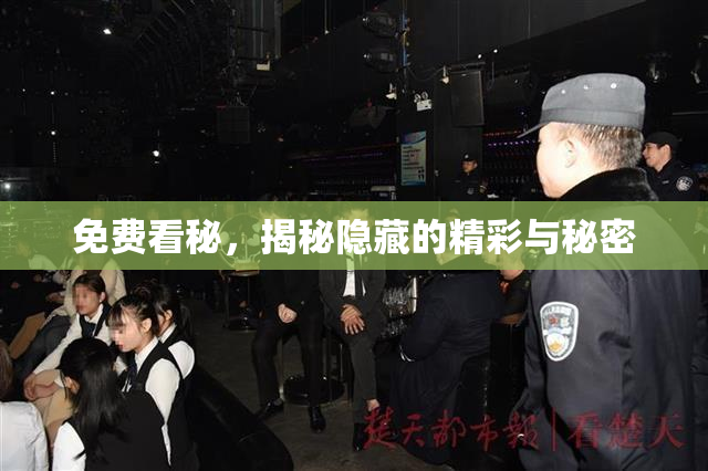 免费看秘，揭秘隐藏的精彩与秘密
