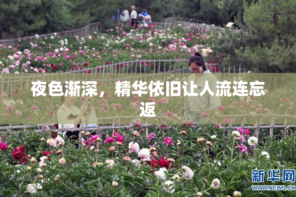 夜色渐深，精华依旧让人流连忘返