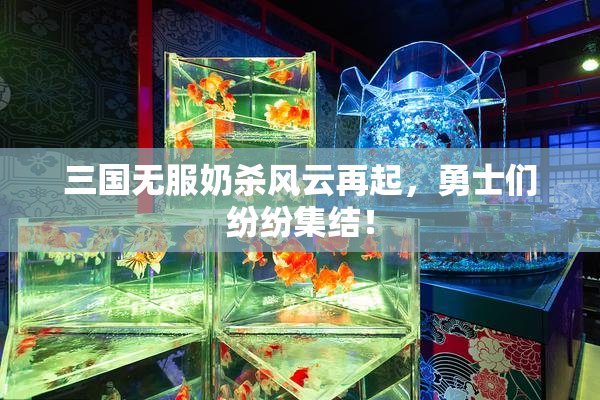 三国无服奶杀风云再起，勇士们纷纷集结！