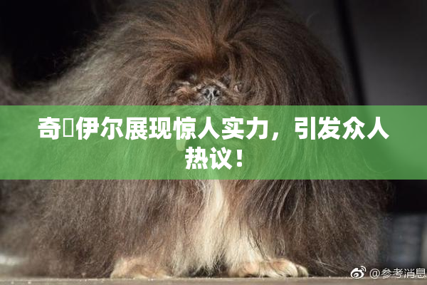 奇犽伊尔展现惊人实力，引发众人热议！