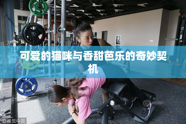 可爱的猫咪与香甜芭乐的奇妙契机