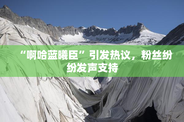 “啊哈蓝曦臣”引发热议，粉丝纷纷发声支持