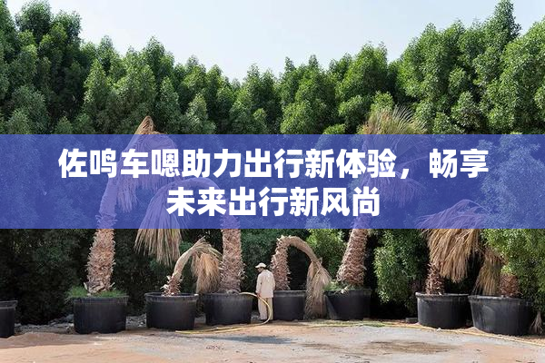 佐鸣车嗯助力出行新体验，畅享未来出行新风尚
