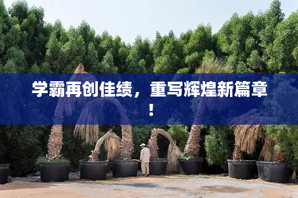 学霸再创佳绩，重写辉煌新篇章！
