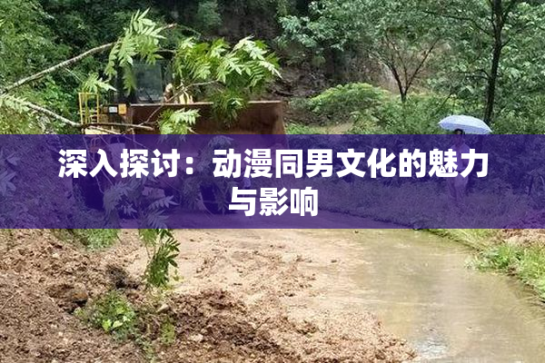 深入探讨：动漫同男文化的魅力与影响