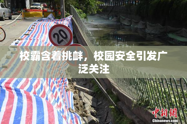 校霸含着挑衅，校园安全引发广泛关注
