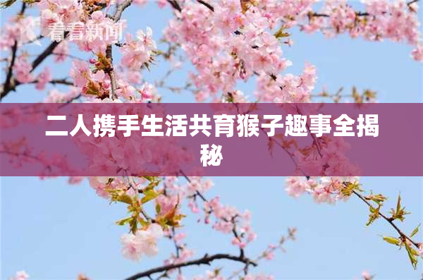 二人携手生活共育猴子趣事全揭秘