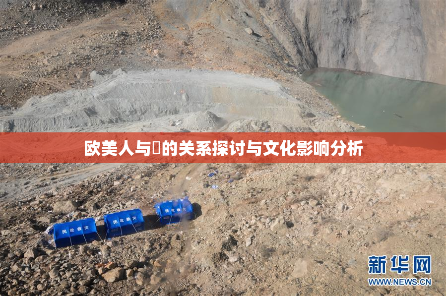 欧美人与嘼的关系探讨与文化影响分析