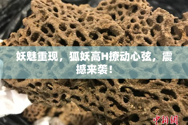 妖魅重现，狐妖高H撩动心弦，震撼来袭！