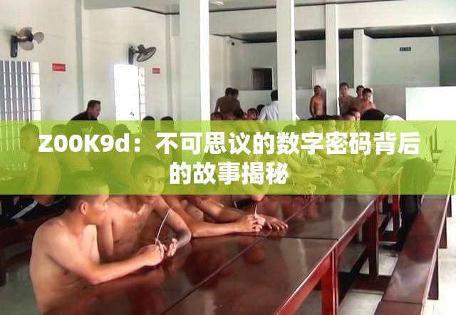 Z00K9d：不可思议的数字密码背后的故事揭秘