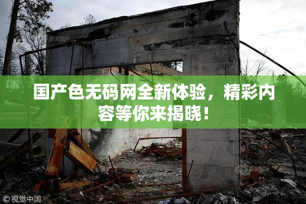 国产色无码网全新体验，精彩内容等你来揭晓！
