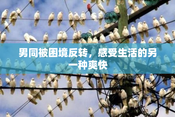 男同被困境反转，感受生活的另一种爽快