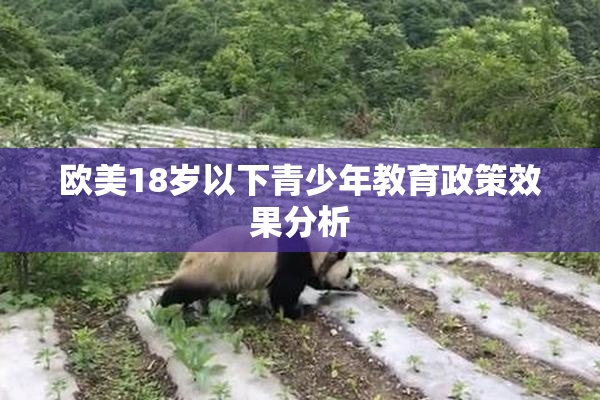 欧美18岁以下青少年教育政策效果分析