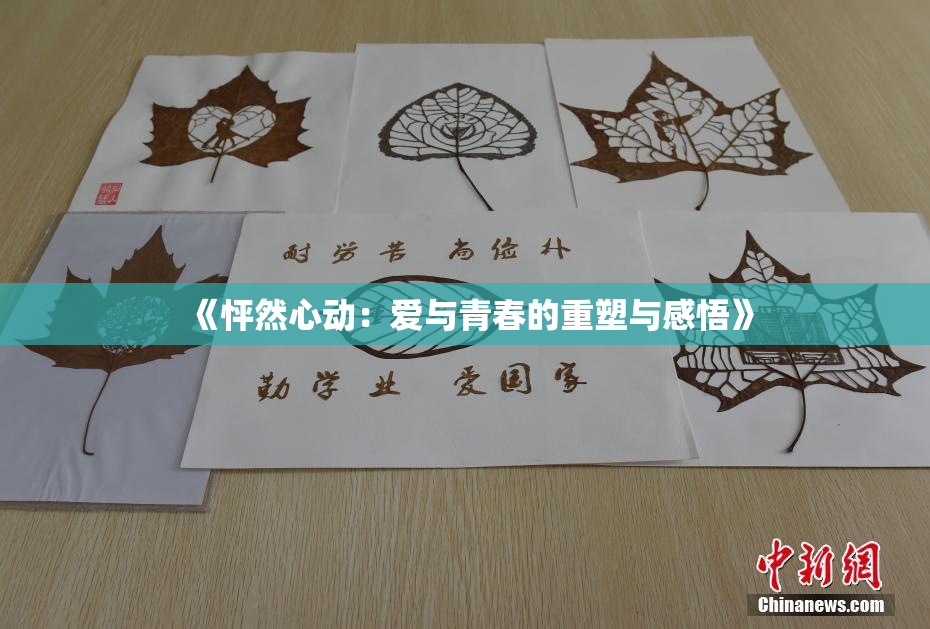 《怦然心动：爱与青春的重塑与感悟》