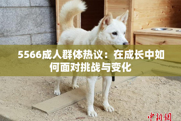 5566成人群体热议：在成长中如何面对挑战与变化