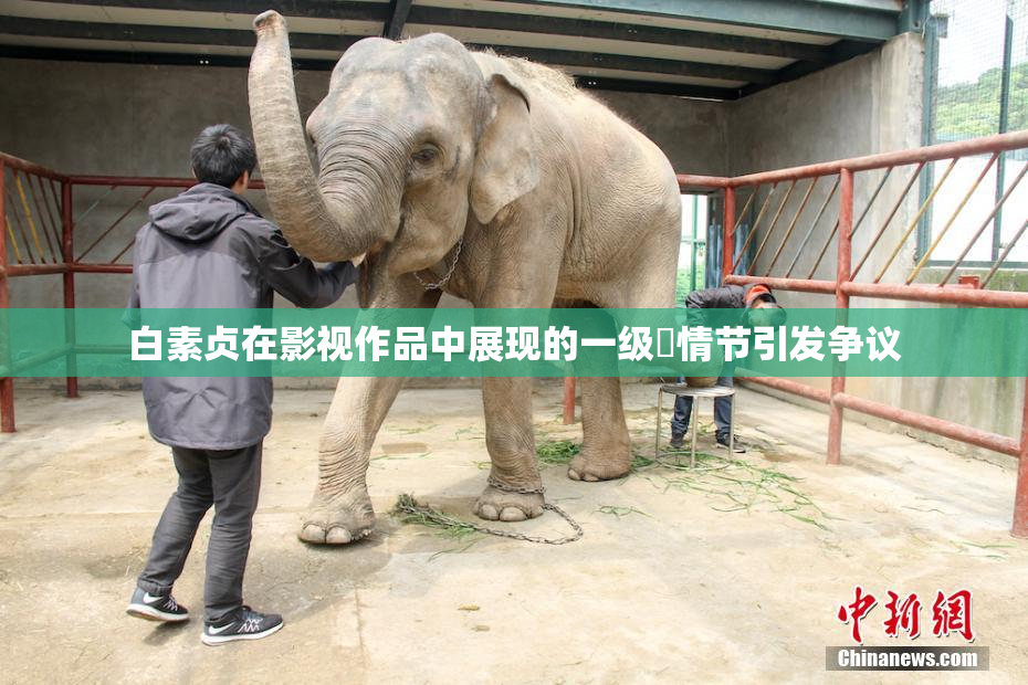 白素贞在影视作品中展现的一级婬情节引发争议