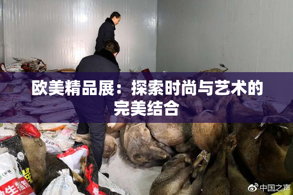 欧美精品展：探索时尚与艺术的完美结合