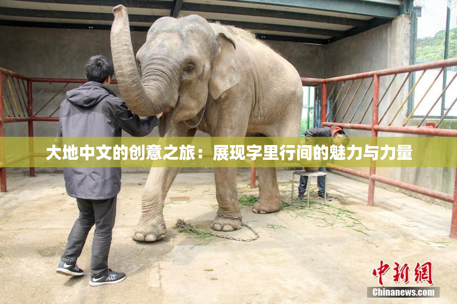 大地中文的创意之旅：展现字里行间的魅力与力量