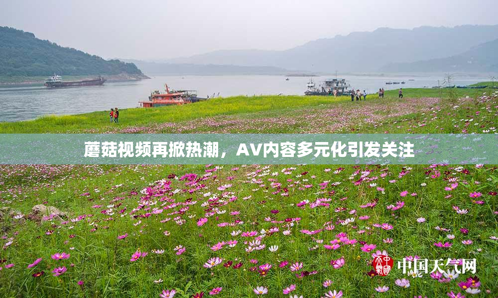 蘑菇视频再掀热潮，AV内容多元化引发关注