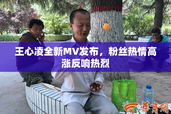 王心凌全新MV发布，粉丝热情高涨反响热烈
