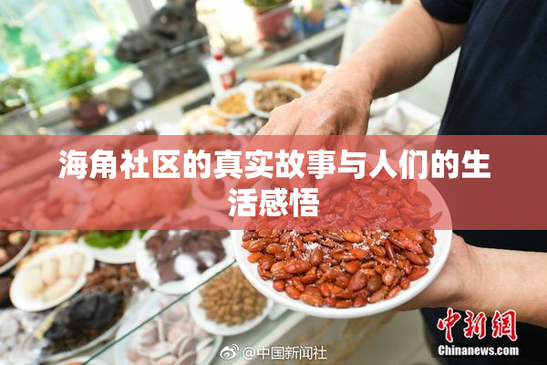 海角社区的真实故事与人们的生活感悟