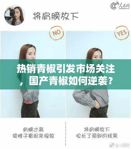 热销青椒引发市场关注，国产青椒如何逆袭？