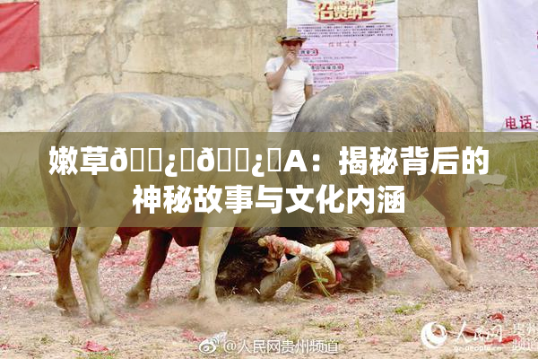 嫩草🌿‌🌿‌A：揭秘背后的神秘故事与文化内涵