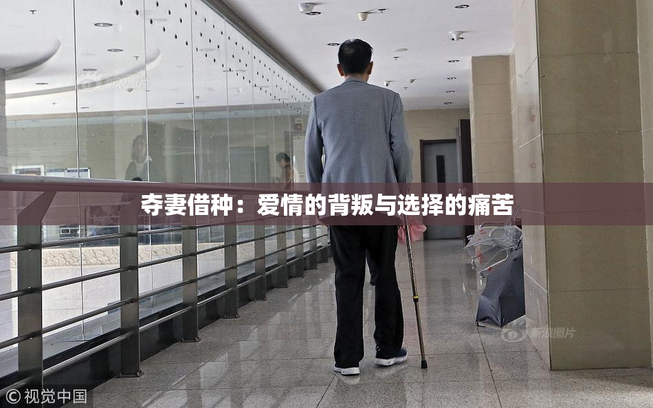 夺妻借种：爱情的背叛与选择的痛苦