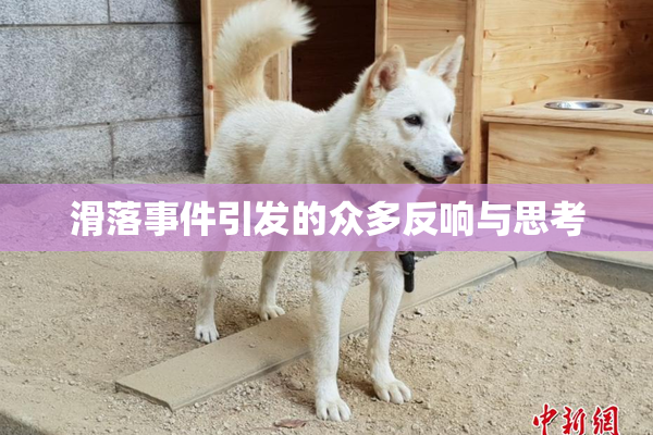 滑落事件引发的众多反响与思考