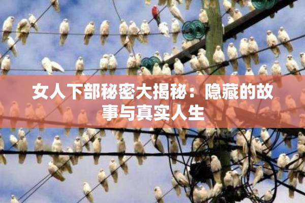 女人下部秘密大揭秘：隐藏的故事与真实人生