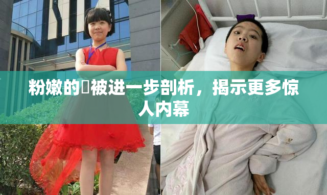 粉嫩的泬被进一步剖析，揭示更多惊人内幕