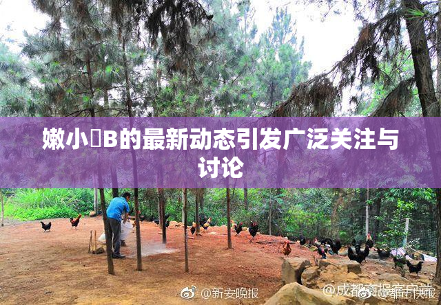 嫩小槡B的最新动态引发广泛关注与讨论