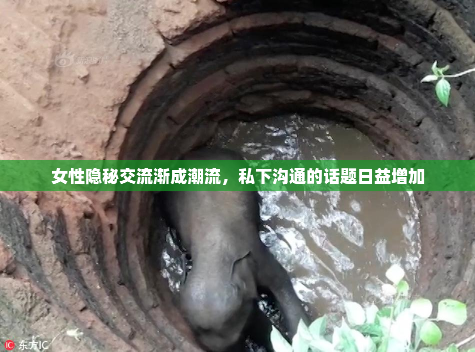女性隐秘交流渐成潮流，私下沟通的话题日益增加