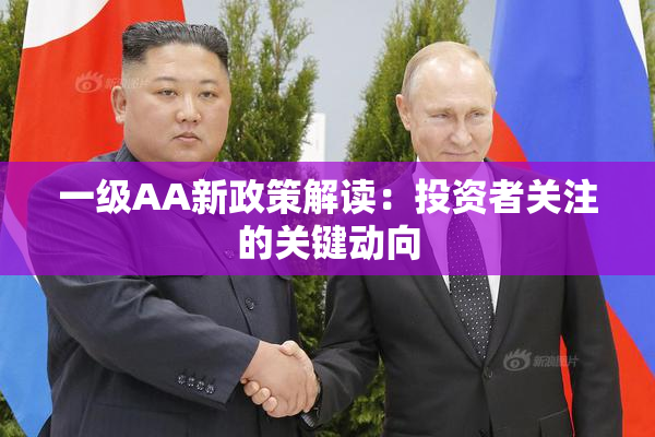 一级AA新政策解读：投资者关注的关键动向